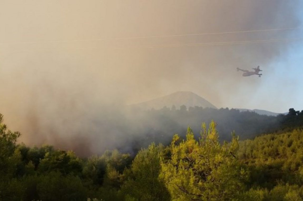 Πυρκαγιά σε πευκοδάσος στην περιοχή της Λευκίμης του δήμου Σουφλίου