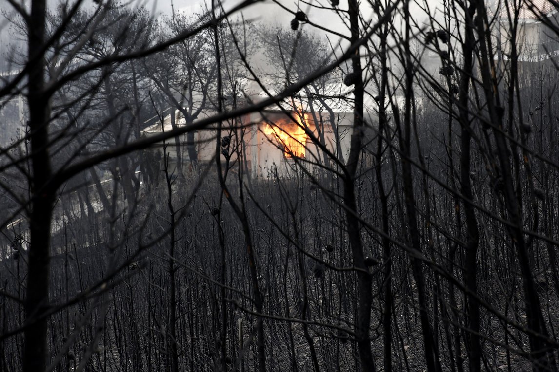 Συστάσεις της ΓΕΝΟΠ προς τους καταναλωτές για τις πυρκαγιές