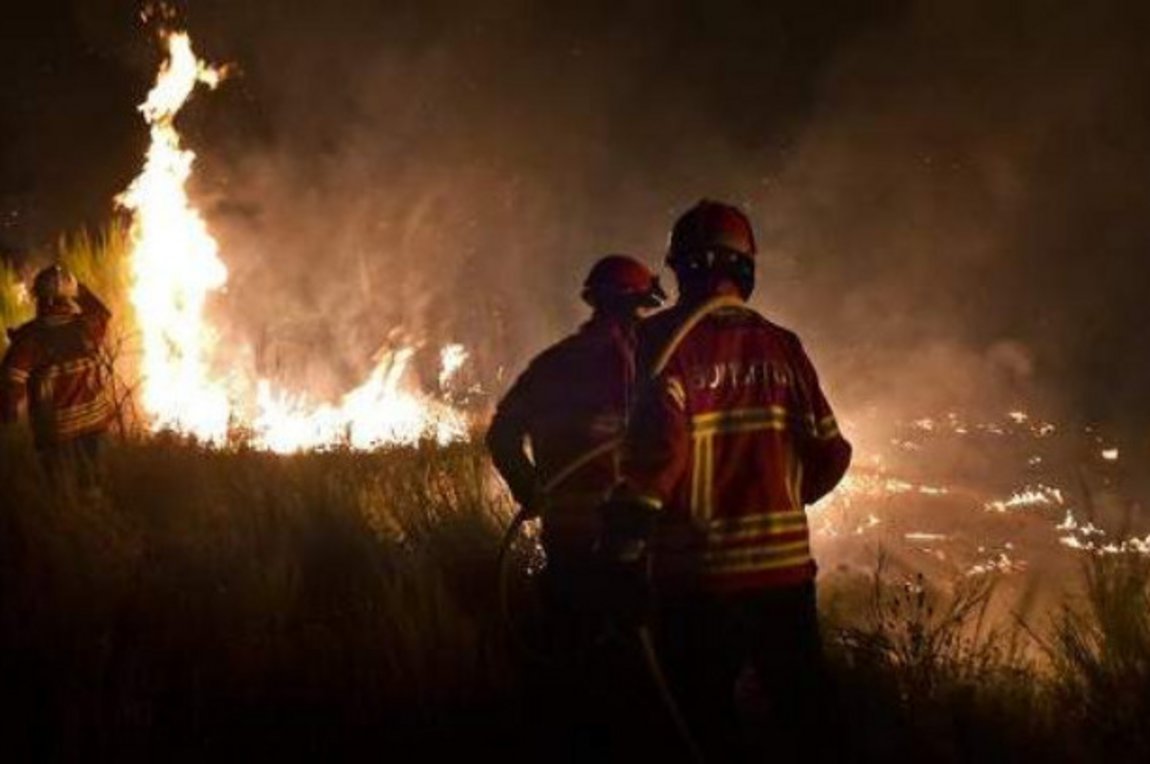 Δασοφύλακες: Η μάχη χάθηκε στην Πεντέλη - Υπάρχουν επιχειρησιακές ευθύνες