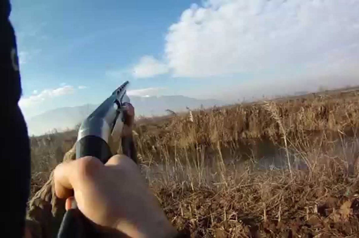 Φθιώτιδα: Πυροβόλησαν αστυνομικό στο κυνήγι