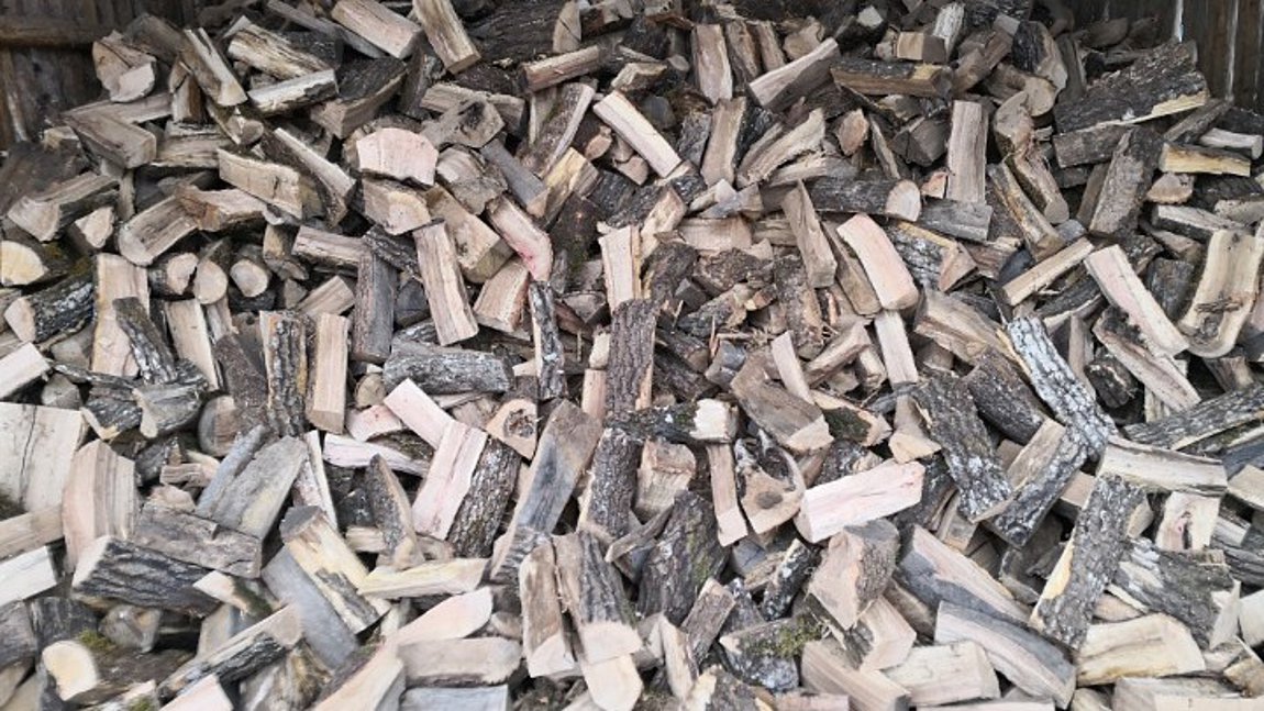 Έκοβε παράνομα ξύλα και συνελήφθη