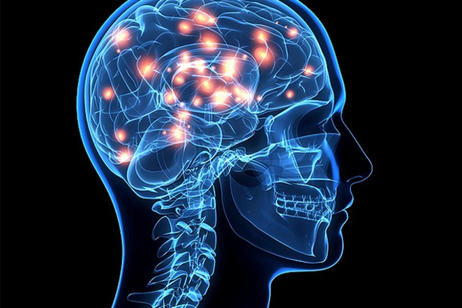 Ελον Μασκ: Η Neuralink του Ίλον Μασκ θα δοκιμάσει σε ανθρώπους «θαυματουργό» εγκεφαλικό τσιπάκι σε έξι μήνες