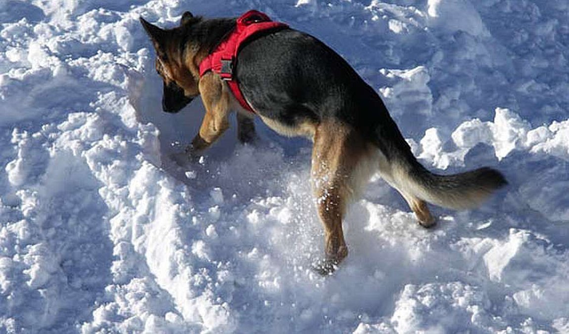 Παιδί έμεινε θαμμένο σε χιονοστιβάδα για 40 λεπτά και επέζησε