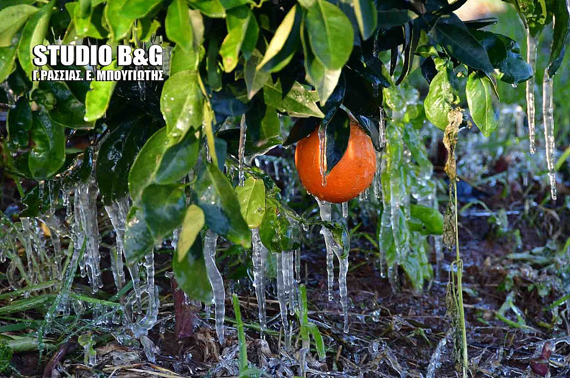 Πολύ χαμηλές θερμοκρασίες στην Αργολίδα