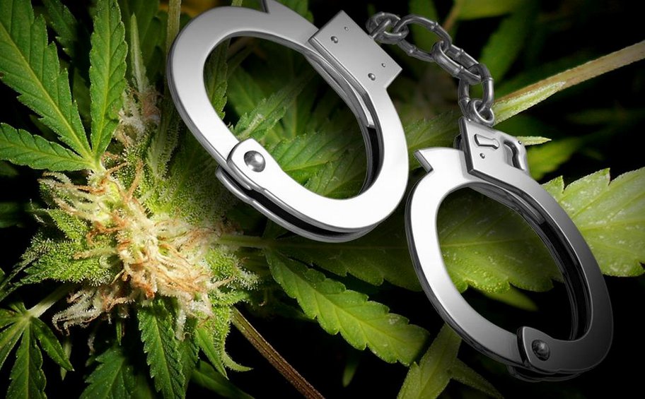 Σύλληψη 50χρονου στην Αρτέμιδα - Διατηρούσε αυτοσχέδιο εργαστήριο καλλιέργειας δενδρυλλίων κάνναβης