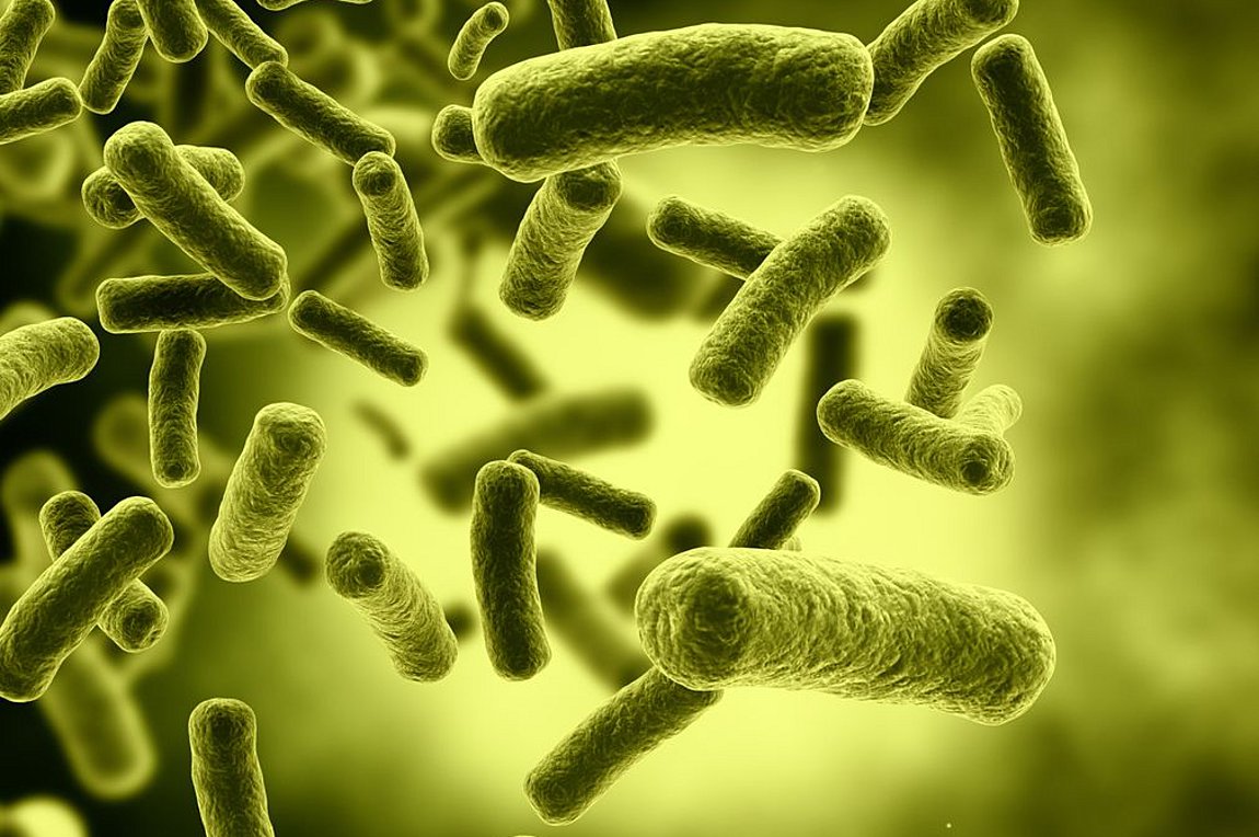 Σαρώνει ο ιός της γρίπης στα Βαλκάνια – Σε «συναγερμό» Ρουμανία και Βουλγαρία