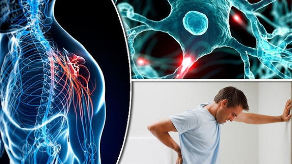 Νέα πρωτοποριακή θεραπεία για την Πολλαπλή Σκλήρυνση