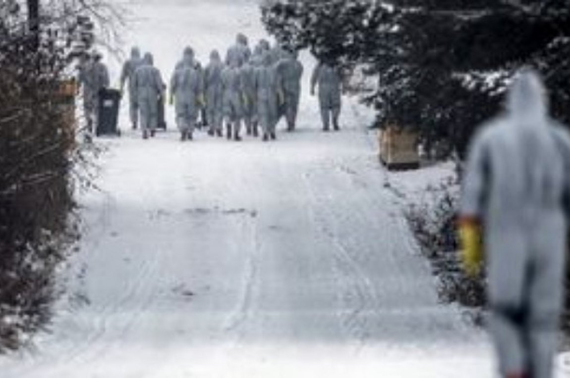 Πολωνία: Κρούσματα της γρίπης των πτηνών H5N8 σε μονάδες όπου εκτρέφονται γαλοπούλες