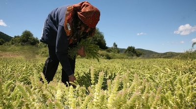 Τα μέτρα στήριξης στους αγρότες 