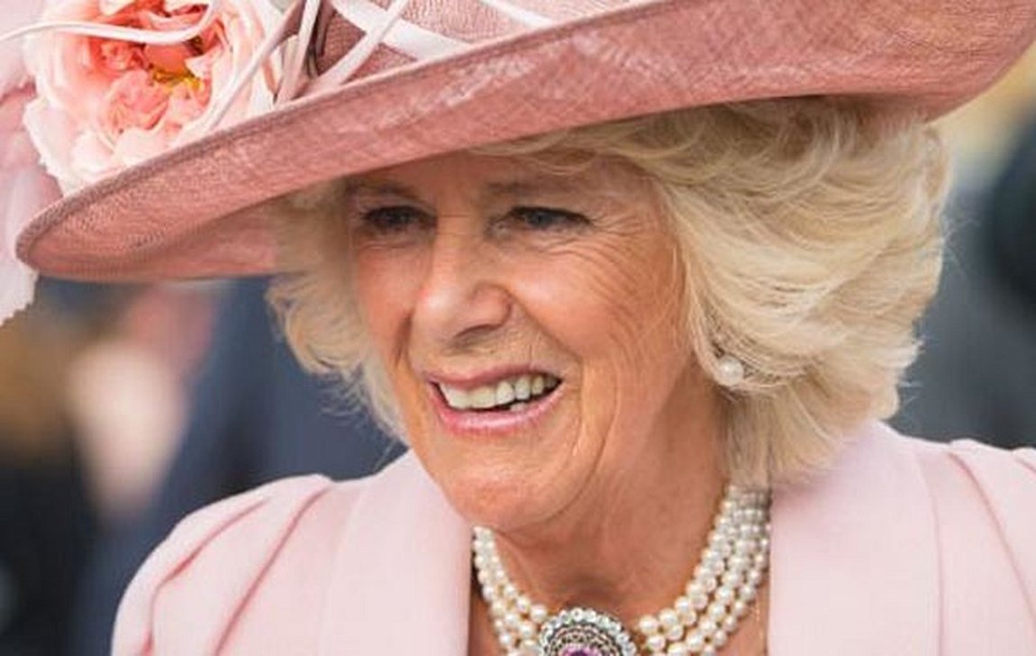 H Kαμίλα «έκπληκτη» από τις δηλώσεις του πρίγκιπα Χάρι