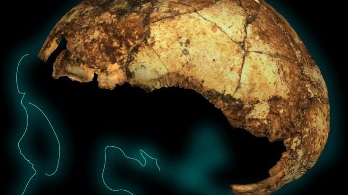 Βρέθηκε το αρχαιότερο στον κόσμο κρανίο Homo erectus