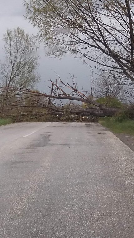Πτώσεις δέντρων και προβλήματα στην Ξάνθη – Κατέρρευσε τοίχος