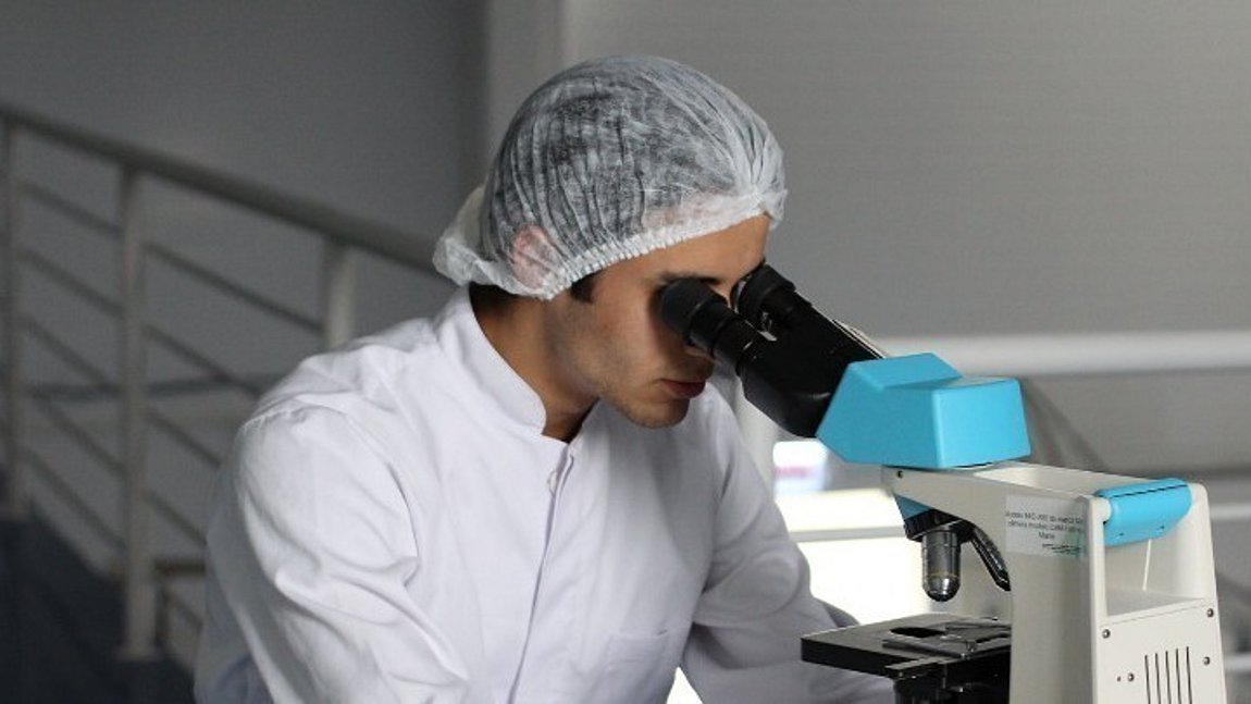 Καμία συσχέτιση μεταξύ του κορωνοϊού και του ιού του Δυτικού Νείλου