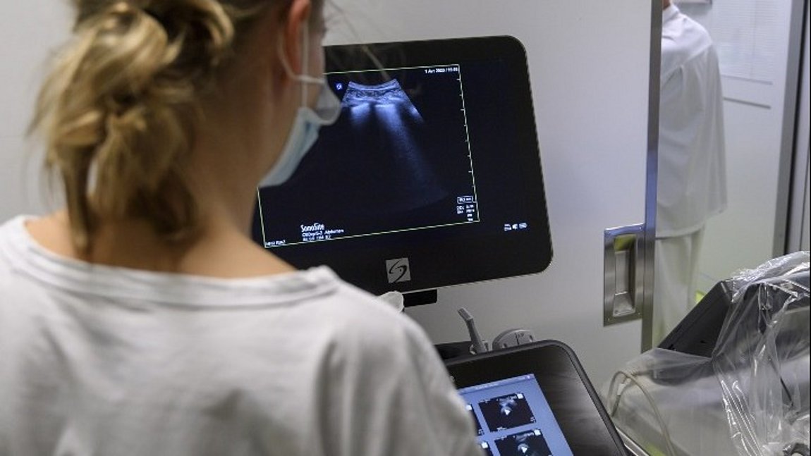 Βέλγιο: 908 νέα κρούσματα κορωνοϊού, 230 θάνατοι σε 24 ώρες