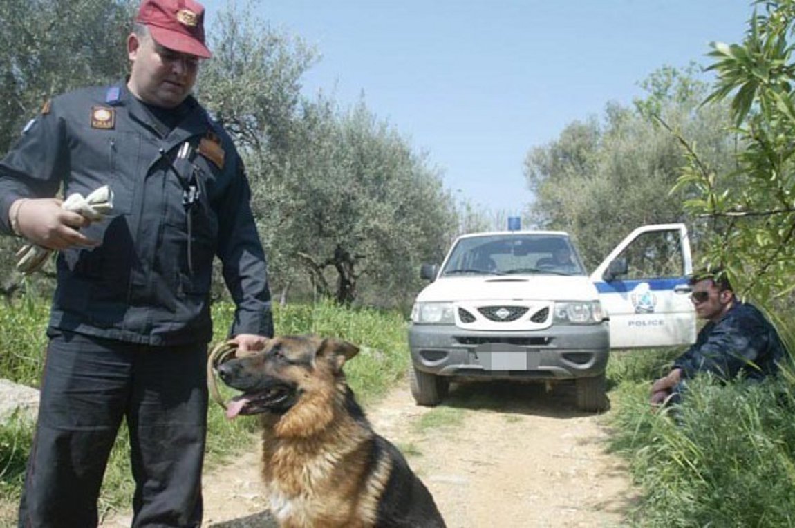 Σύλληψη δύο ανδρών για κατοχή ναρκωτικών και στρατιωτικού υλικού