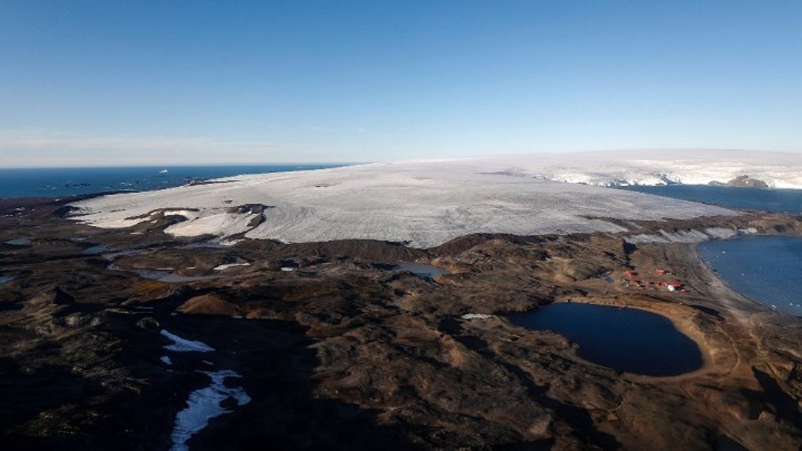 Παράξενα πλάσματα ανακαλύφθηκαν τυχαία κάτω από τους θαλάσσιους πάγους της Ανταρκτικής