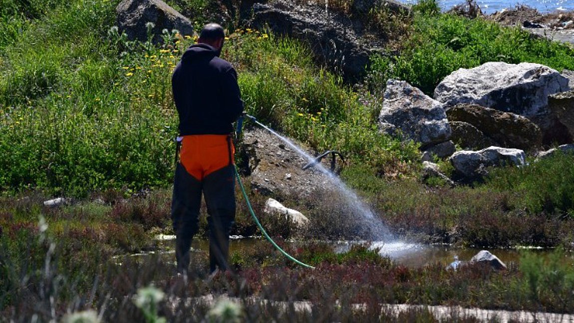 Σε εξέλιξη πρόγραμμα κωνωποκτονίας στην Περιφερειακή Ενότητα Λάρισας