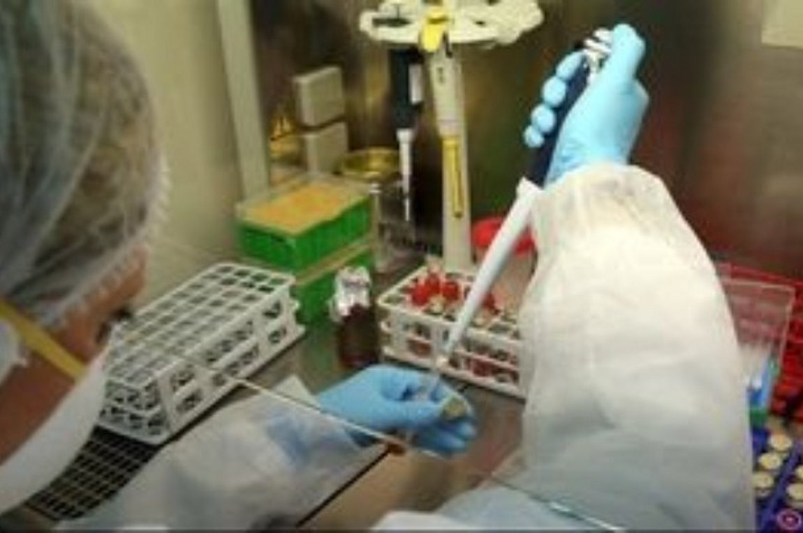 Ειδικοί βιοηθικής: Δέκα λόγοι που τα «διαβατήρια ανοσίας» είναι κακή ιδέα