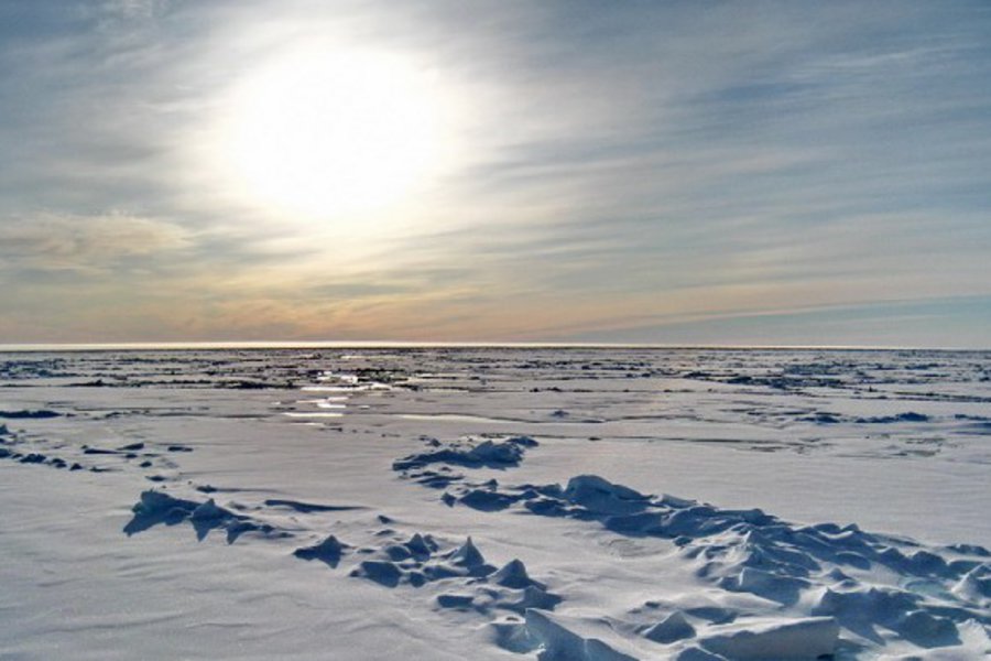 Μελέτη: Η Αρκτική ανεβάζει θερμοκρασία τέσσερις φορές πιο γρήγορα από τον υπόλοιπο κόσμο