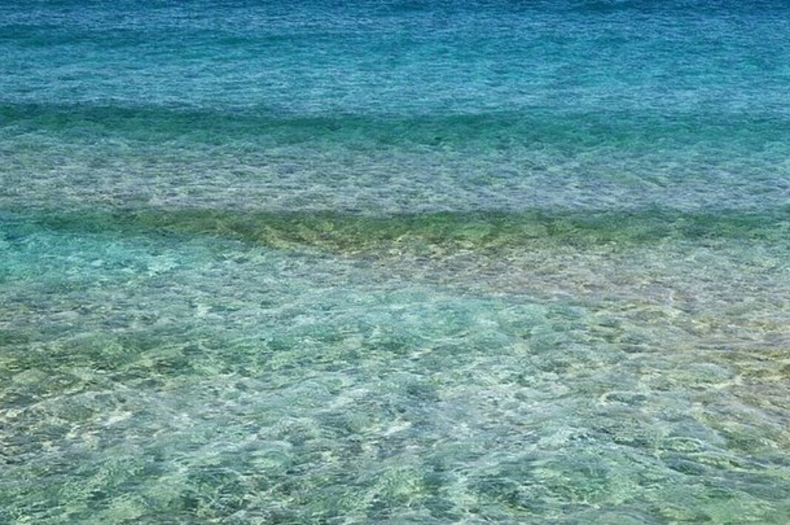 Κολυμπούσε γυμνός και τον συνέλαβαν – Επιτέθηκε σε αστυνομικούς – ΒΙΝΤΕΟ