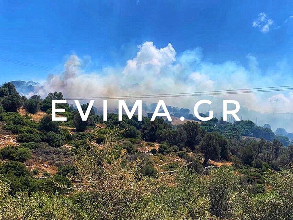 Φωτιά στην Εύβοια – Οι πρώτες εικόνες