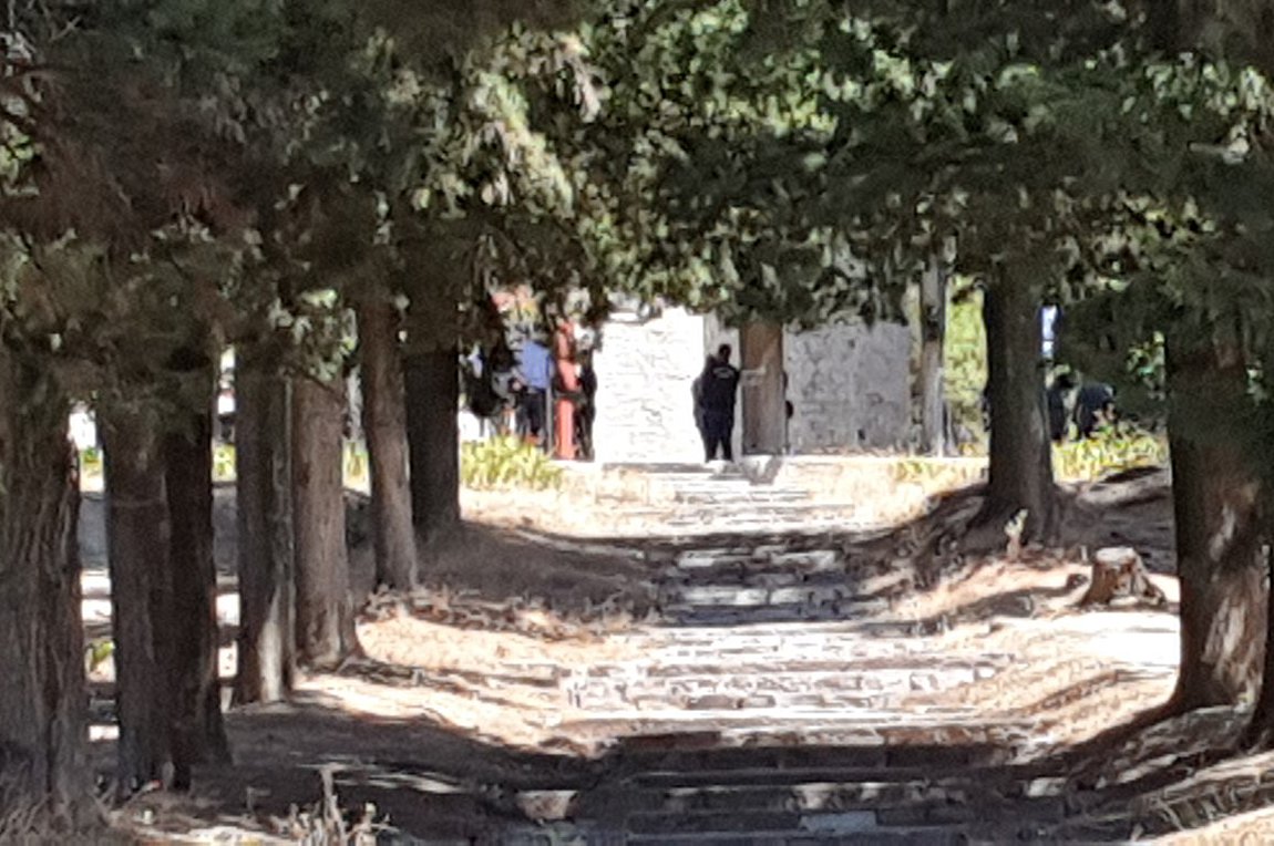 Τρίκαλα: Τι ζητεί η οικογένεια της 16χρονης που βρέθηκε νεκρή