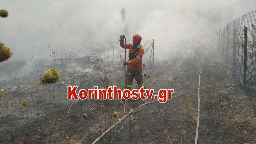 Δήμαρχος Κορινθίας: Σε πυκνό δάσος η φωτιά, άρα είναι δύσκολο να ελεγχθεί
