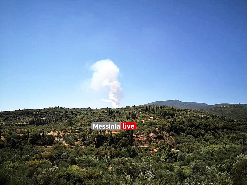 Φωτιά στο Πεταλίδι Μεσσηνίας