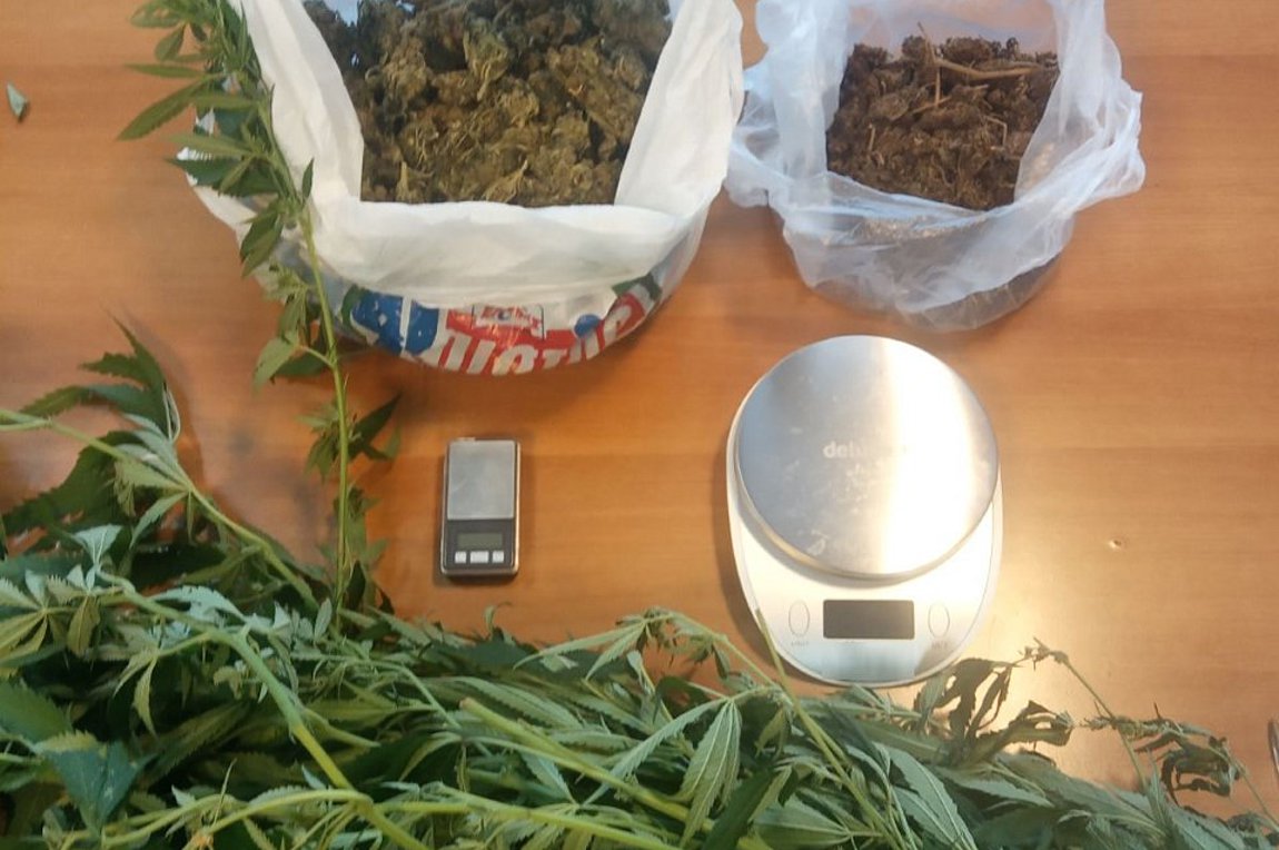 Καλλιεργούσαν… κάνναβη στην αυλή του σπιτιού τους