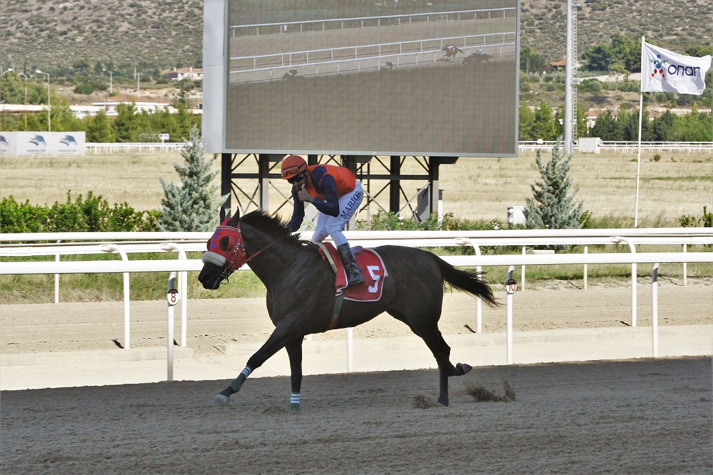Δύο νίκες για την συνεργασία του αναβάτη Μάριου Χριστοφή με τον προπονητή Ιγνάτιο Θεολόγου Δύο νίκες για την συνεργασία του αναβάτη Μάριου Χριστοφή με τον προπονητή Ιγνάτιο Θεολόγου