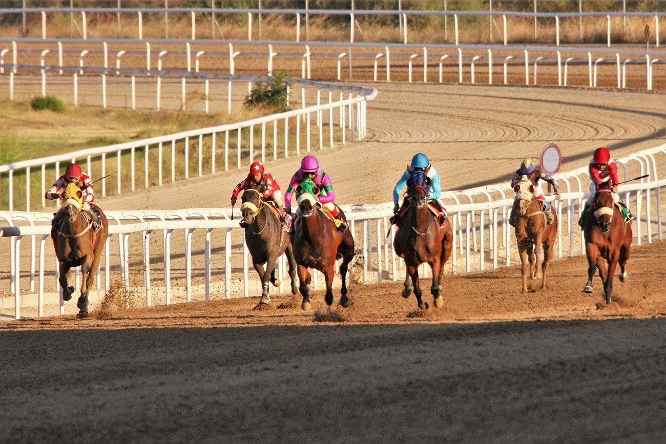 Δυνατές αφίξεις στο Markopoulo Park Δυνατές αφίξεις στο Markopoulo Park
