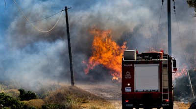 Πυροσβεστική: 45 αγροτοδασικές πυρκαγιές μέσα σε 24 ώρες