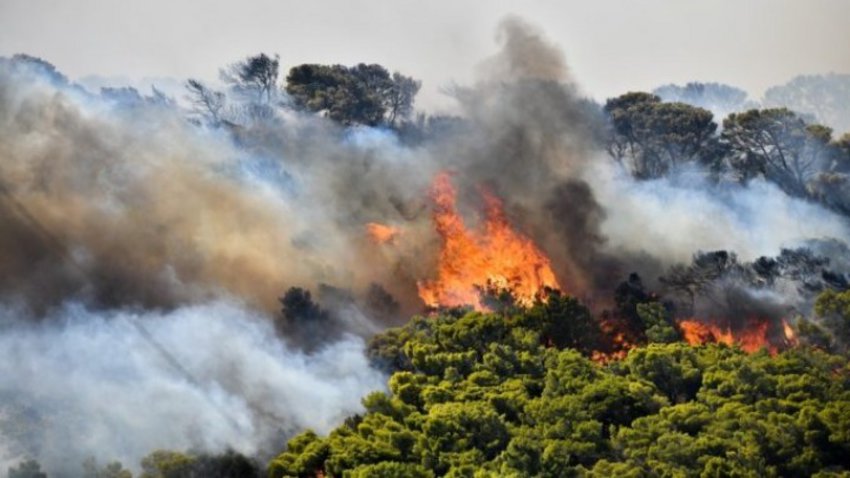 Αλεξανδρούπολη: Μαίνεται η πυρκαγιά που εκδηλώθηκε χθες μεταξύ των οικισμών Μελίας και Νίψας