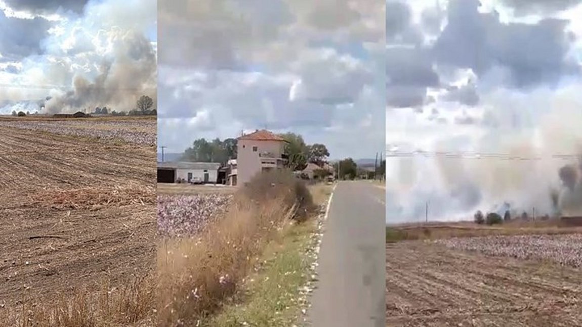 Νέα φωτιά στον Έβρο – Κοντά σε σπίτια οι φλόγες – ΒΙΝΤΕΟ