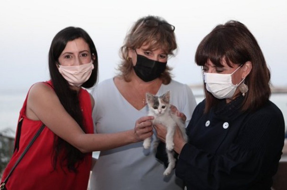 Σακελλαροπούλου: Τα ζώα είναι συναισθανόμενα όντα που αξίζουν προστασία και σεβασμό