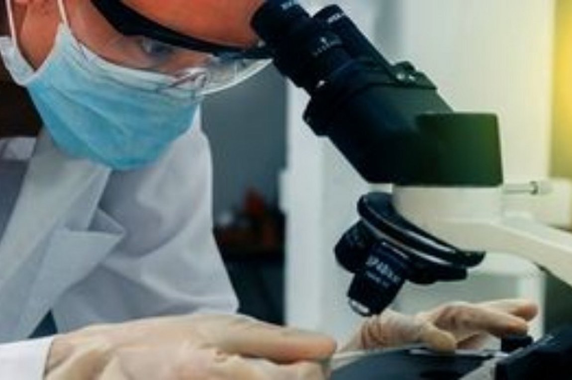 Δημιουργήθηκαν τα πρώτα ηλεκτρονικά αιμοφόρα αγγεία – Είναι εύκαμπτα και βιοδασπώμενα