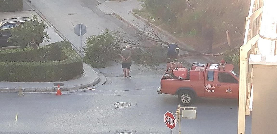 Πτώσεις δένδρων λόγω ισχυρών ανέμων στη Θεσσαλονίκη – Ζημιές σε Ι.Χ.