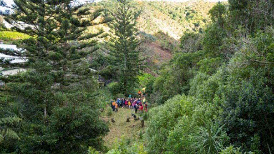 Οι απογοητεύσεις του 2020 γίνονται δέντρα στο Δάσος της Ελπίδας