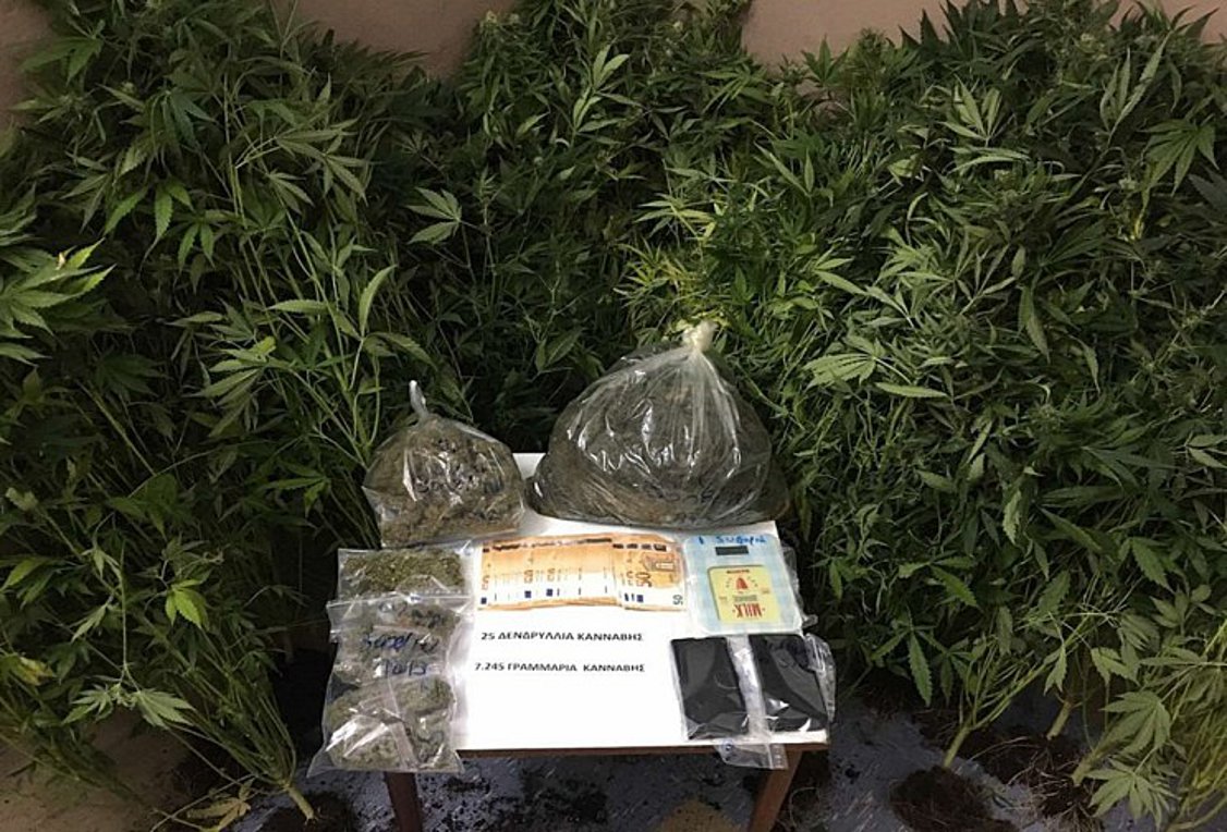 Συνελήφθησαν δύο άνδρες για καλλιέργεια και διακίνηση ναρκωτικών ουσιών στη Ρόδο