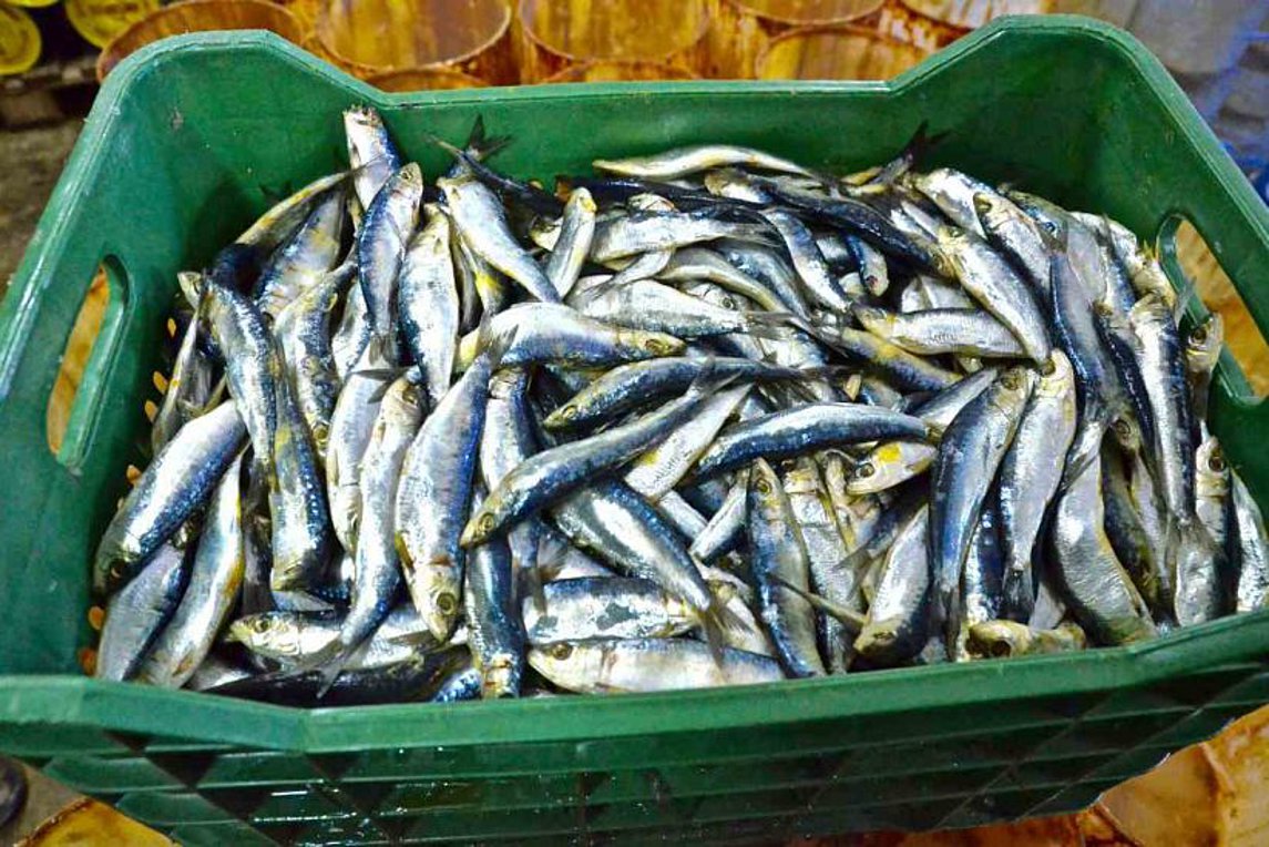Η σαρδέλα Καλλονής πρώτο θαλασσινό προϊόν με ΠΟΠ