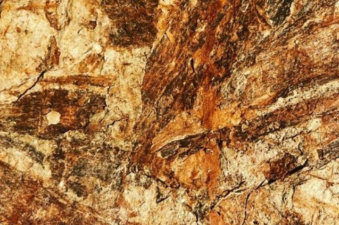 Μουσείο σπάνιων απολιθωμάτων και πετρωμάτων στην Κω από 19χρονο φοιτητή