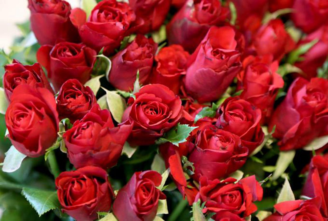 Αγίου Βαλεντίνου: Ανοιχτά τα ανθοπωλεία – Ποια μαγαζιά λειτουργούν την Κυριακή