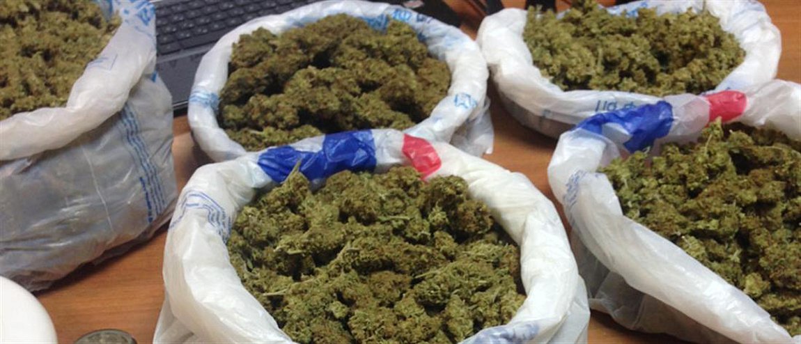 Ρέθυμνο: Κάνναβη κρυμμένη σε οικόπεδο