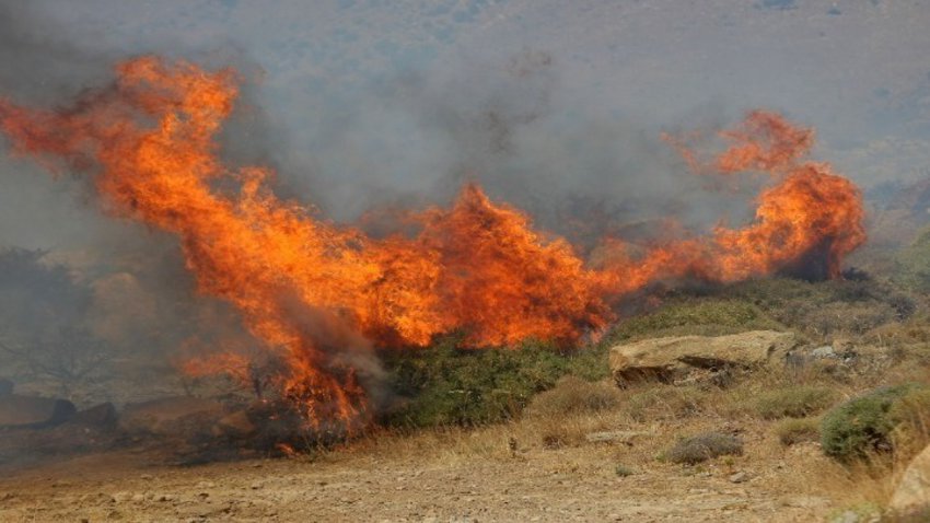 Τρίπολη: Φωτιά σε δασική έκταση στην περιοχή Κυπαρίσσια Μεγαλόπολης - Ενισχύονται οι πυροσβεστικές δυνάμεις
