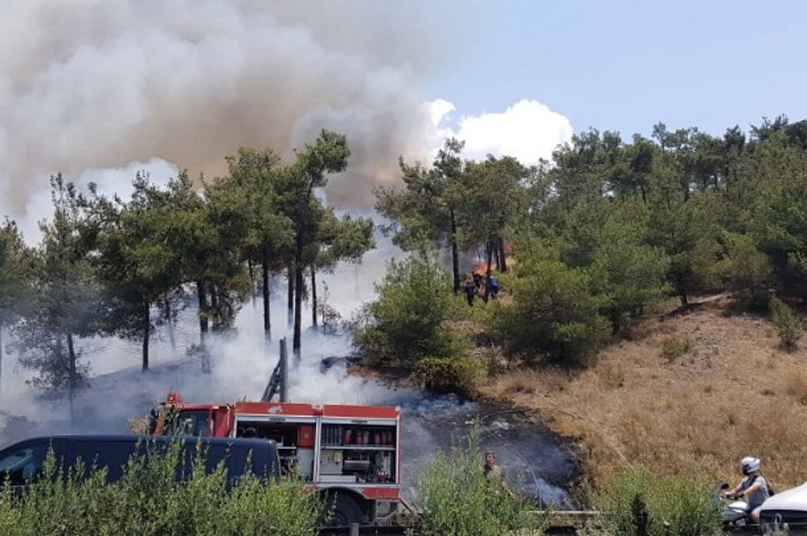 Φωτιά στο Σέιχ Σου | ενότητες, κοινωνία | Real.gr