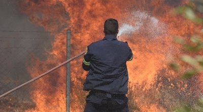 Σε εξέλιξη φωτιά κοντά την Κασσανδρεία Χαλκιδικής - Απειλείται φωτοβολταϊκό πάρκο 