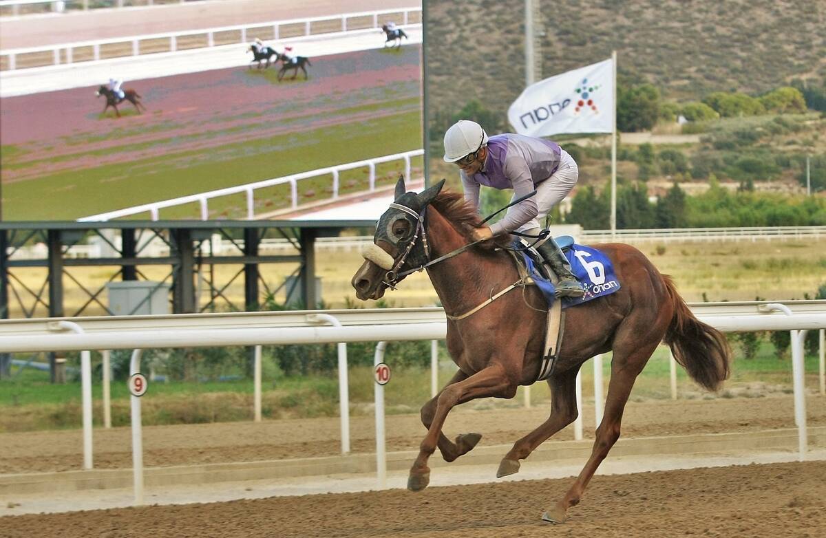  Η περσινή νικήτρια του Κυπέλλου Αρτέμιδος, ΜΠΡΟΝΤΕ (GR) 