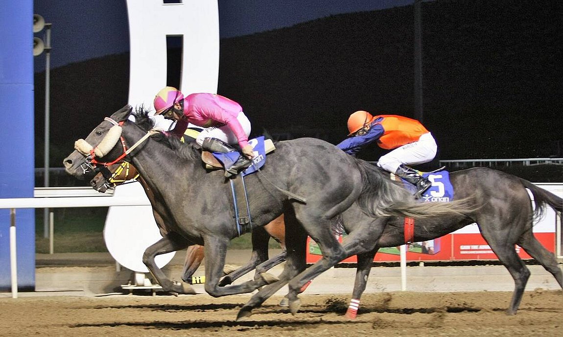 Η κορυφαία ιπποδρομία της χρονιάς τη Δευτέρα στο Markopoulo Park