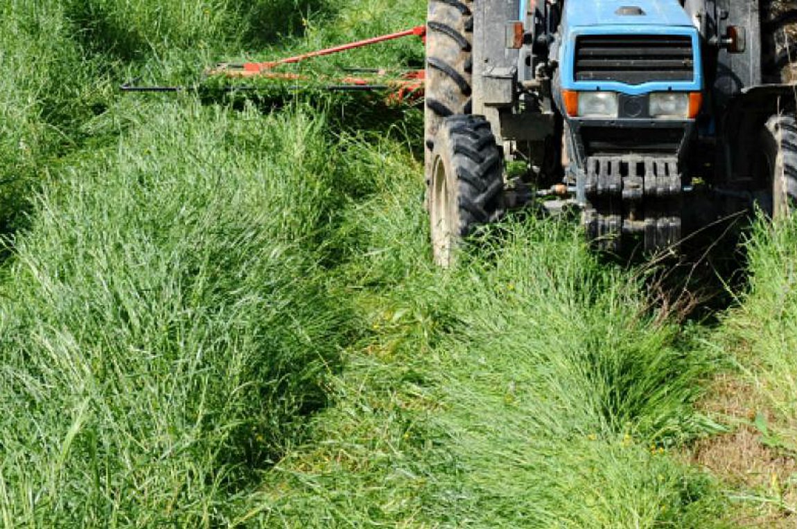 Σέρρες: Νεκρός 79χρονος που παρασύρθηκε από το τρακτέρ του