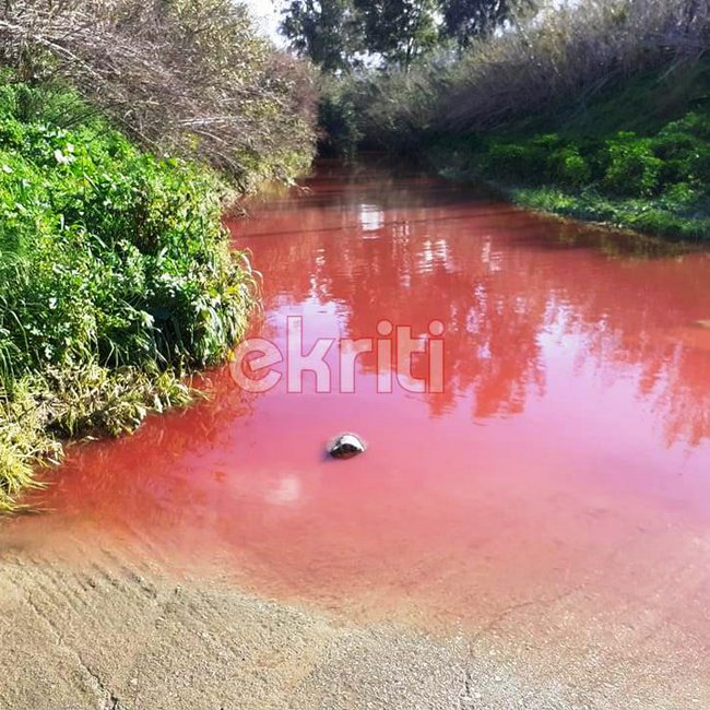 Μυστήριο στην Κρήτη: Ποτάμι έγινε κόκκινο – Για οσμή αίματος κάνουν λόγο οι κάτοικοι